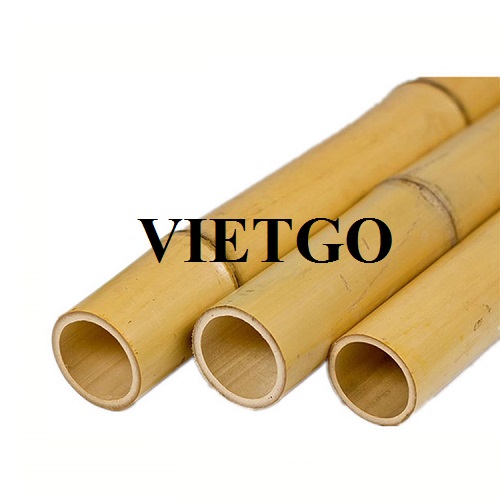 The opportunity to supply a large number of bamboo poles to an agricultural farm in Saudi Arabia