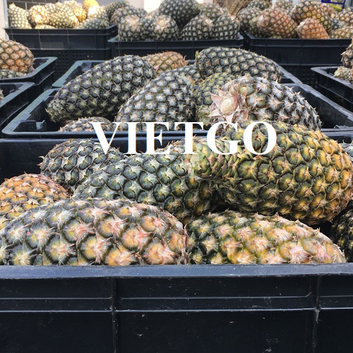 Opportunity to export fresh pineapple to the Korean market