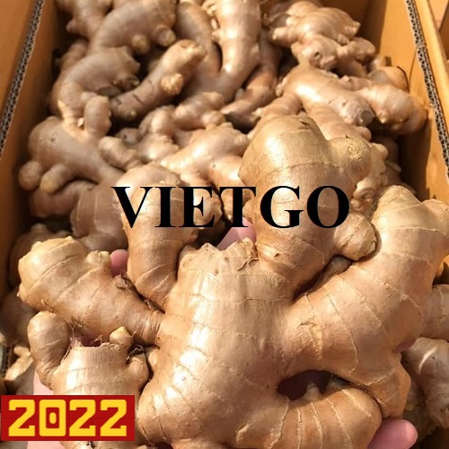 Opportunity to export fresh ginger to Dubai, Pakistan and UK markets