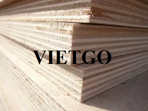 Opportunity to export plywood regularly to the Egyptian market