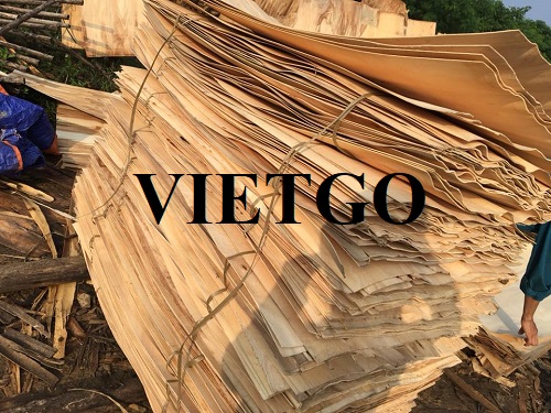 Opportunity to export a large quantity of rubber wood veneer monthly to the Chinese market