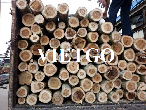 Cơ hội xuất khẩu gỗ thông và gỗ keo tròn sang thị trường Ả Rập Xê Út