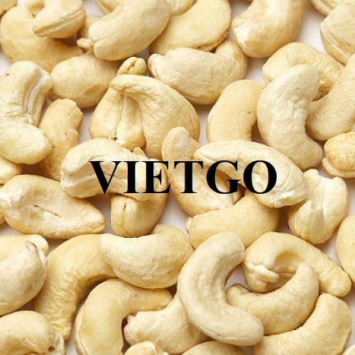 Opportunities to cooperate with an American enterprise for importing cashew nuts