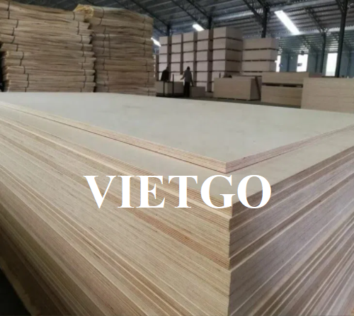 An attractive commercial affair to export plywood to the Oman market