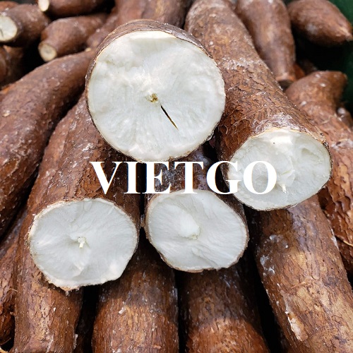 Opportunity to cooperate with a business in the US for the export order of fresh cassava roots