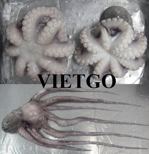 Trade opportunity to export 1 20ft container of flower octopus per month to the Korean market