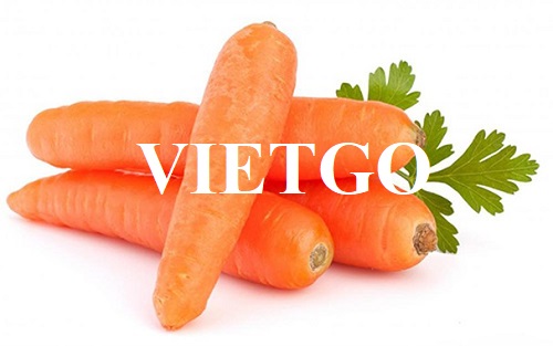Opportunity to cooperate with a business in Yemen for an order to import carrots