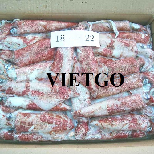 Opportunity to export frozen squid products to the Chinese market