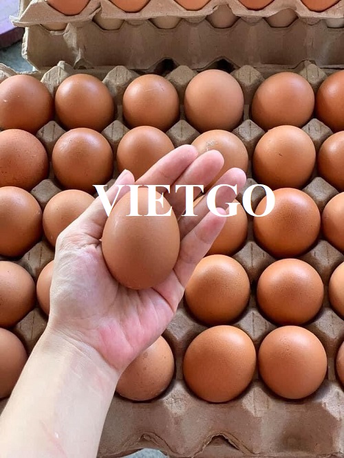 Cơ hội xuất khẩu trứng đến thị trường Oman từ vị khách hàng người Pháp