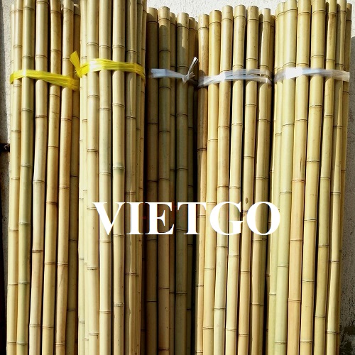 A Polish partner urgently needs to find a reputable supplier of bamboo poles