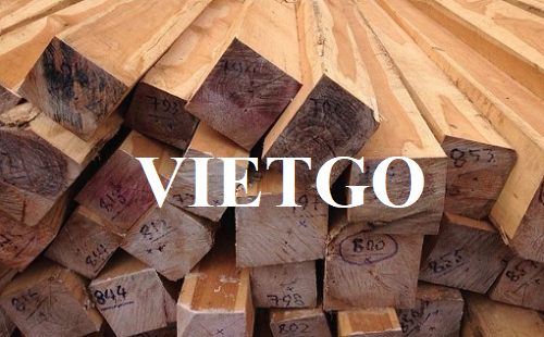 Thương vụ xuất khẩu gỗ teak xẻ sang thị trường Tây Ban Nha