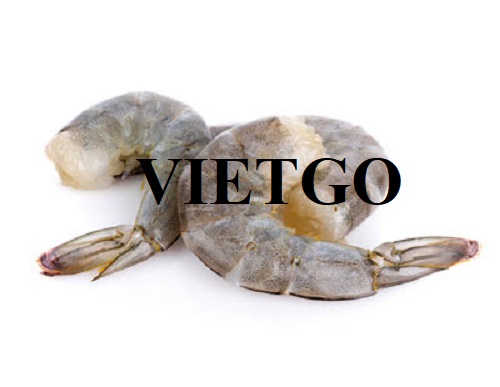 Trade opportunities to export black tiger shrimp monthly to the Spanish market