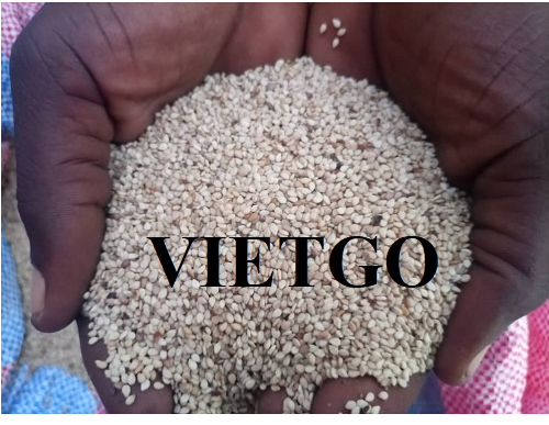 Urgently need a supplier for the monthly export order of 200 tons of sesame seeds to the Chinese market
