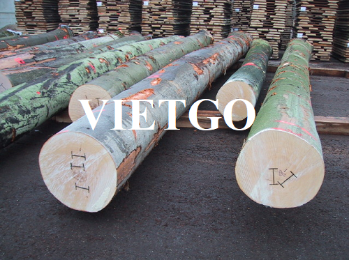 The commercial affair to export beech logs to the Italian market
