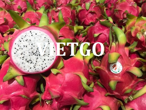Maldivian trader needs to find suppliers for dragon fruits