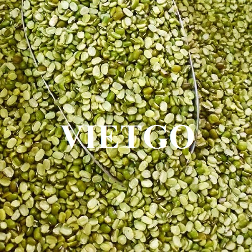 Opportunity to export mung beans to the Chinese market