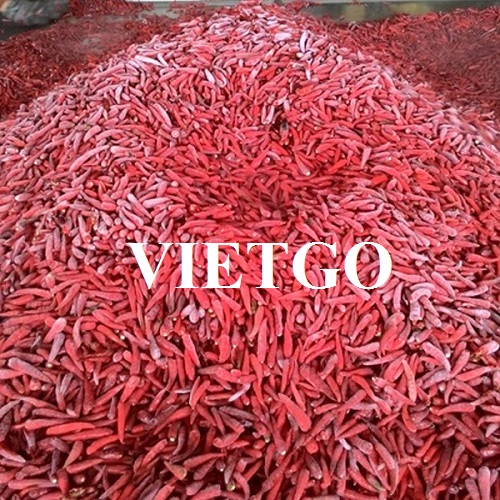 Opportunity to cooperate with a big enterprise in Thailand for export orders of frozen chilies
