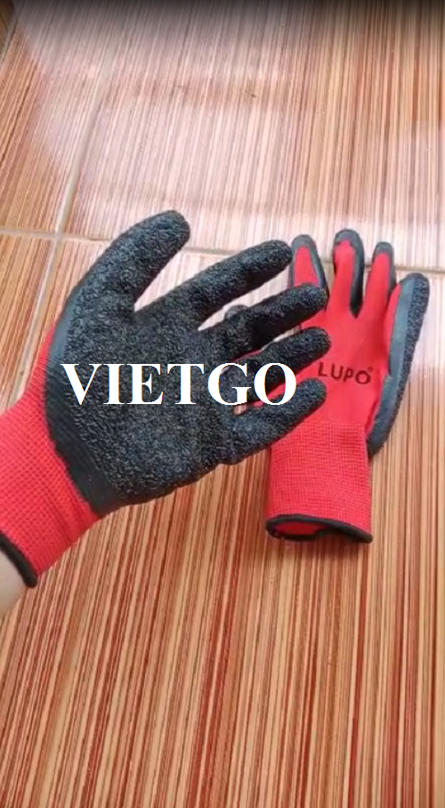 Partner in Indonesia is in need of importing work gloves