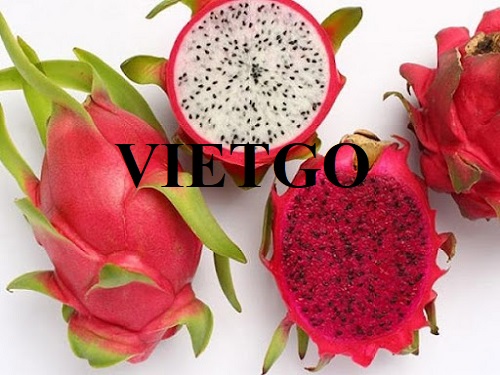 The deal to export dragon fruit to the US market