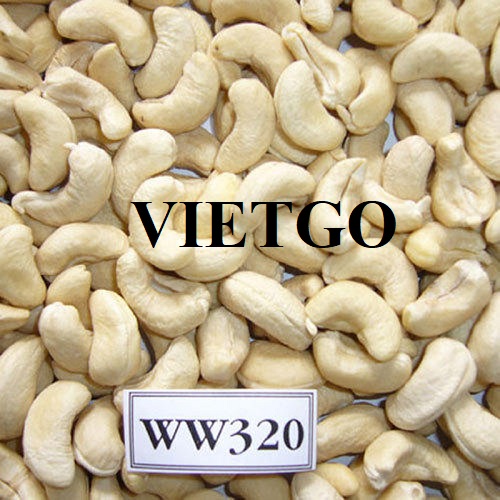 Opportunity to cooperate with an Indian enterprise for cashew nut import order