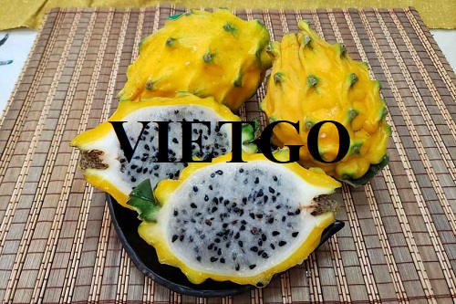 Opportunity to export dragon fruits to Hong Kong market