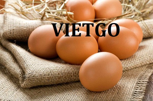 Cơ hội xuất khẩu trứng gà sang thị trường UAE