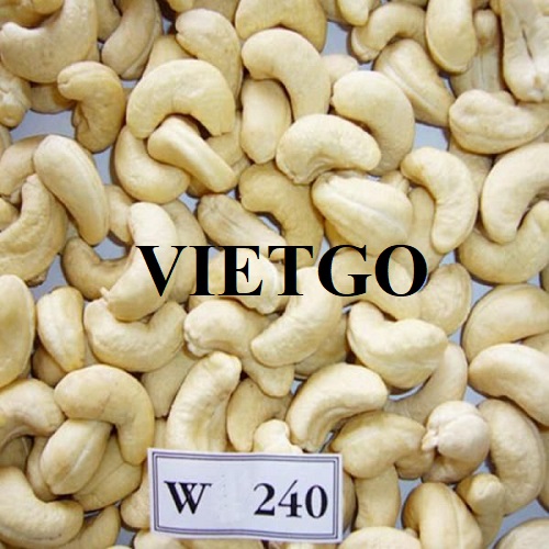 Opportunity to cooperate with Italian enterprise for cashew import orders