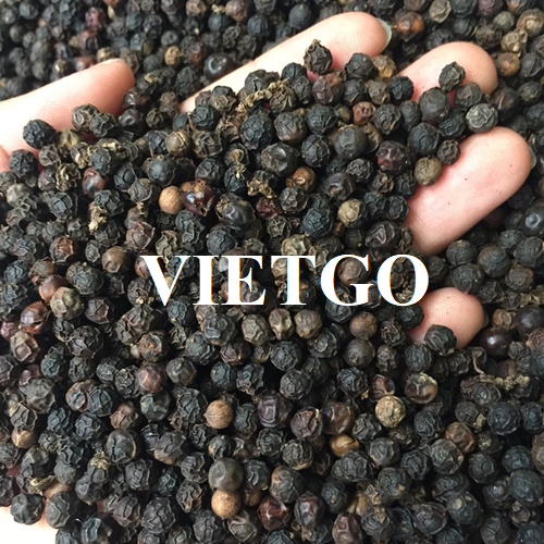 Urgent order – The opportunity to export black pepper comes from a Korean customer