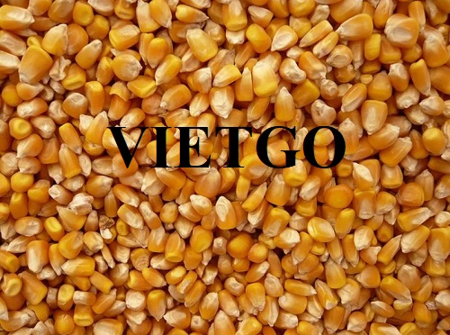 Opportunity to export corn in large quantity to the South Korean market