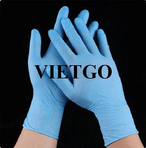 Commercial affair to export medical gloves monthly to the Canadian market