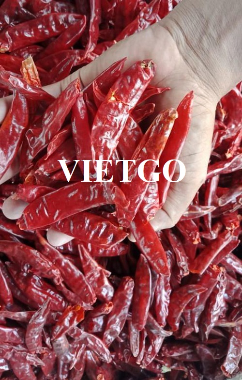 Opportunity to export dried chili and chili powder to the Indian market