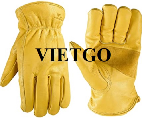 Opportunity to export safety work gloves for a company in the US