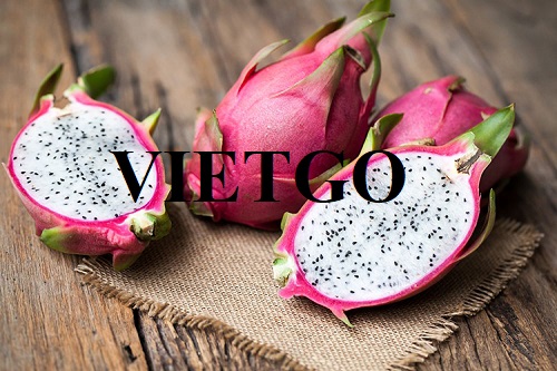 Opportunity to export dragon fruits to UAE