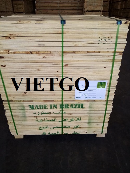 Cơ hội xuất khẩu gỗ thông xẻ sang thị trường Ả Rập Xê Út