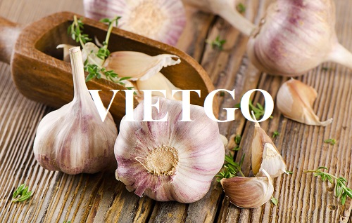 Opportunity to export garlic to the Ukrainian market