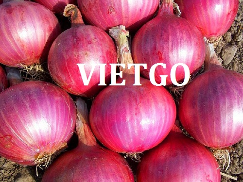 Opportunity to cooperate with a large enterprise in UAE for export orders of onions