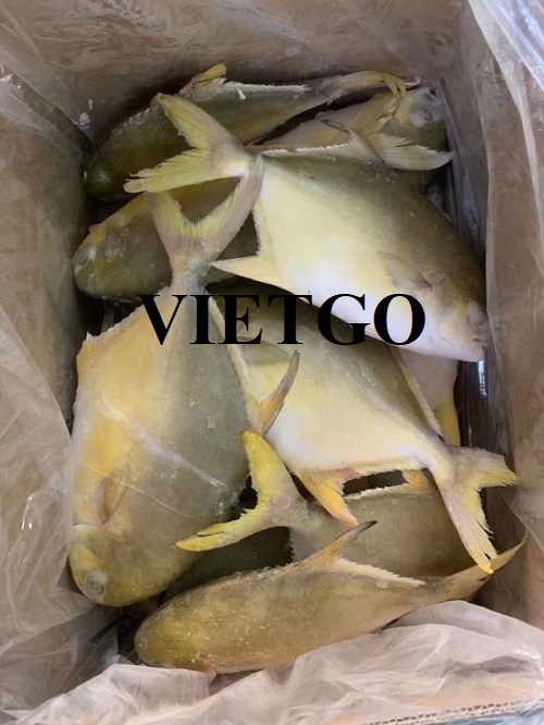Opportunity to export golden pompano to the Philippines market