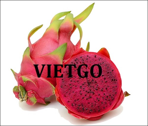 Cooperation deal with a Dubai business for dragon fruit order
