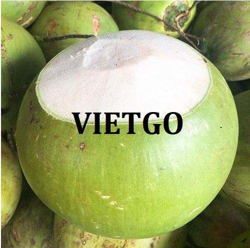 Opportunity for cooperation with a business in UAE for fresh coconut export orders