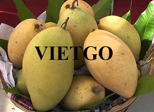 Fresh mango export deal to the UAE market