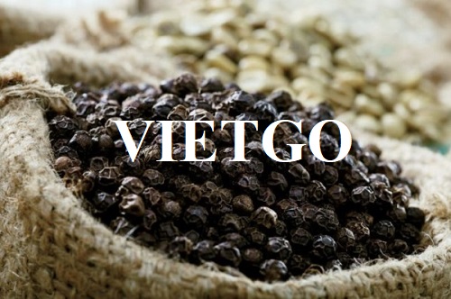 Opportunity to cooperate with a large business in Australia for black pepper import order