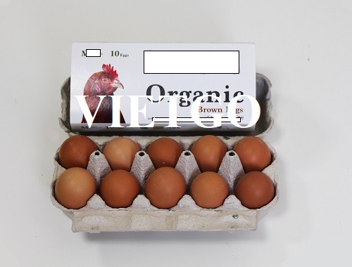 Opportunity to become a supplier for the export order of chicken eggs to the Iranian market