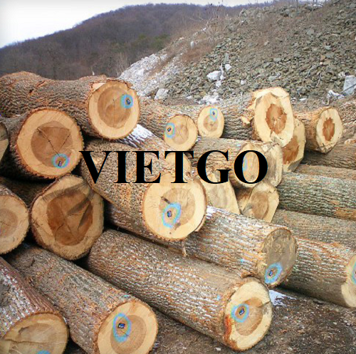 The commercial affair to export of poplar logs to the Chinese market
