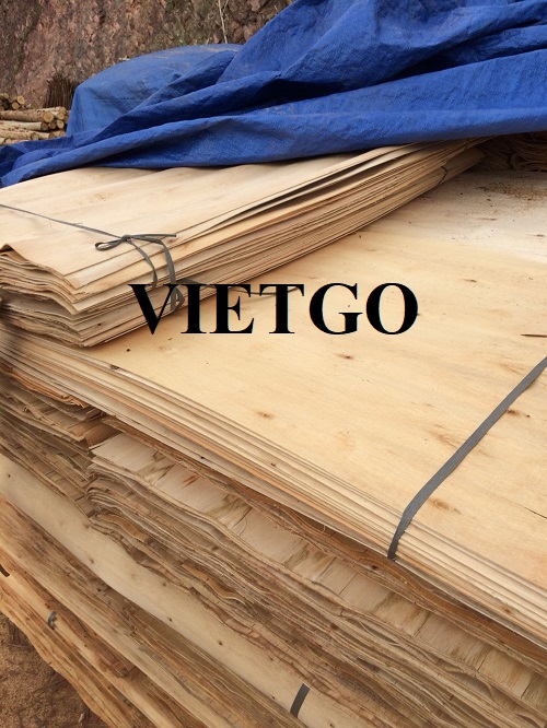 A commercial affair of eucalyptus veneers’s order in the market of Bosnia and Herzegovina