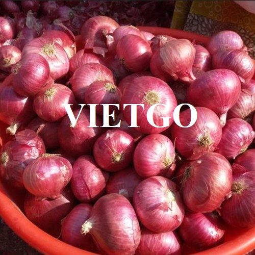 Opportunity to cooperate with an enterprise  in the UAE for red onion export orders