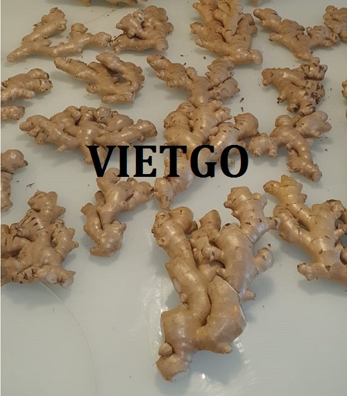Opportunity to cooperate with a South African company for a ginger order