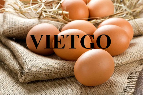 Cơ hội trở thành nhà cung cấp cho đơn hàng xuất khẩu trứng gà sang thị trường UAE