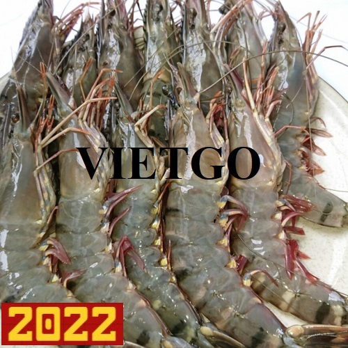 The commercial affair to export monthly black tiger shrimp to the Belgian market