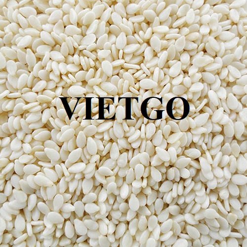 Cooperation opportunity to supply white sesame products to the Dubai market