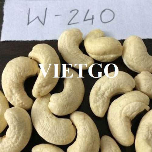 Opportunity to export monthly cashew nuts to the UAE market